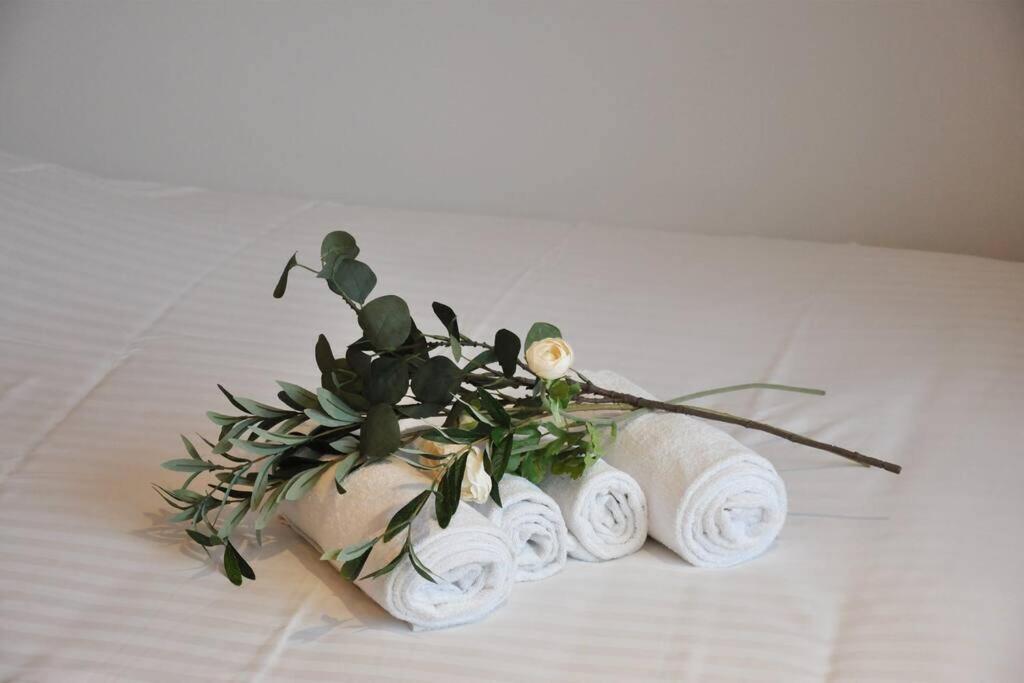 Freskenn 1, Studio 23M² Cosy & Chaleureux Apartment เบรสต์ ภายนอก รูปภาพ